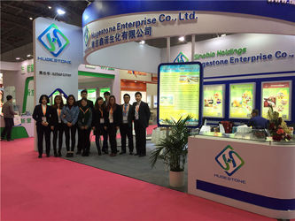 China Hugestone Enterprise Co., Ltd.