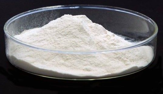 L-triptófano C11H12N2O2 para aminoácidos de qualidade alimentar EINECS 200-795-6 CAS n.o 73-22-3